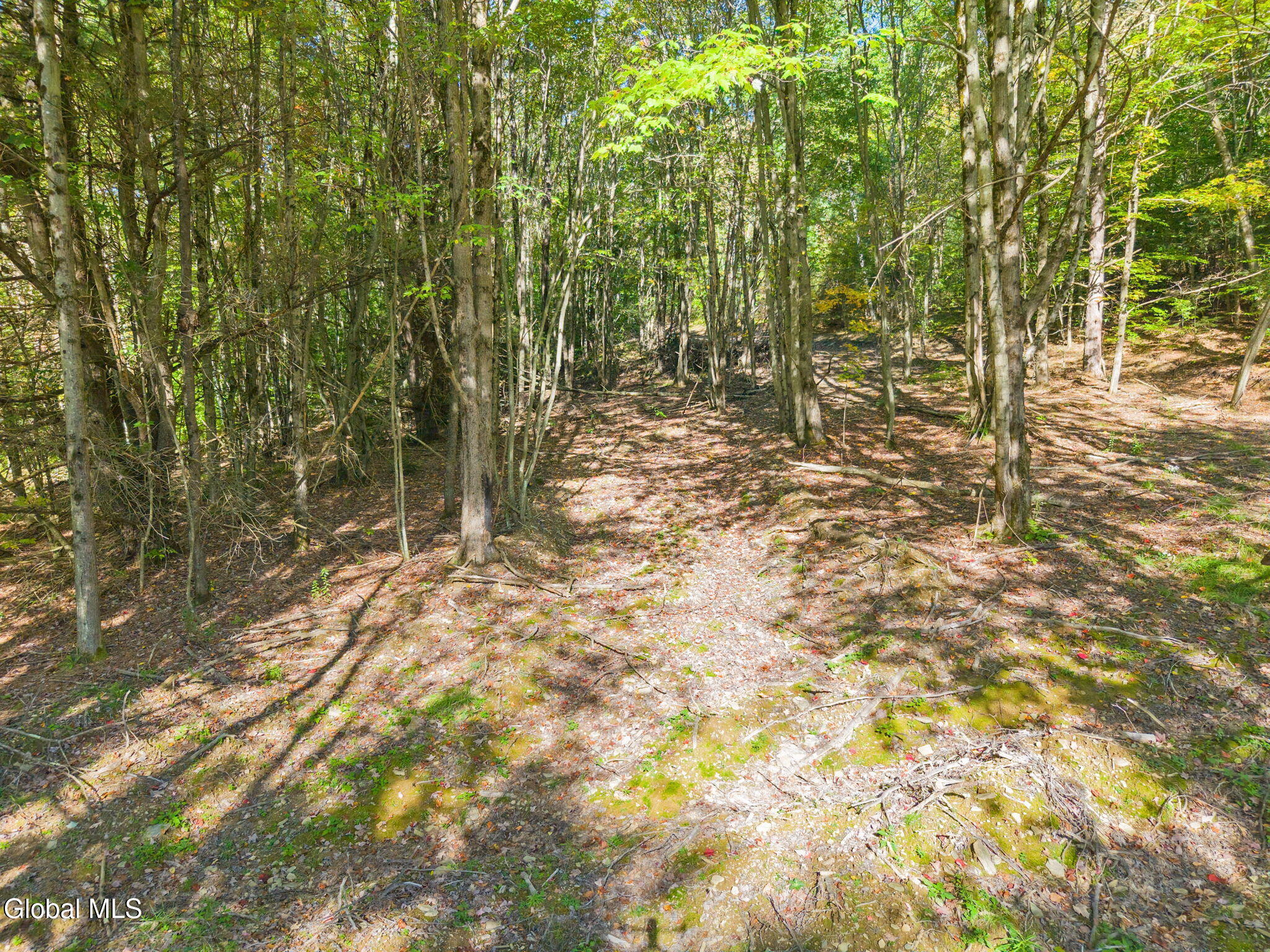 708 Smokey Avenue Schenevus NY 12155