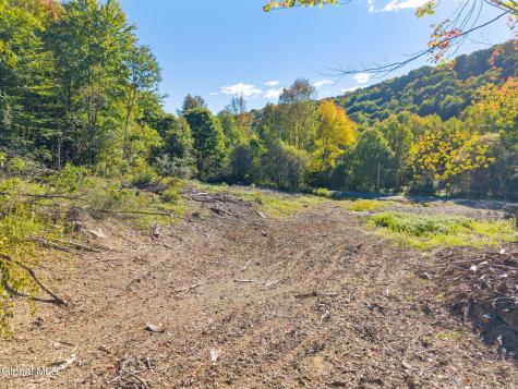 708 Smokey Avenue Schenevus NY 12155