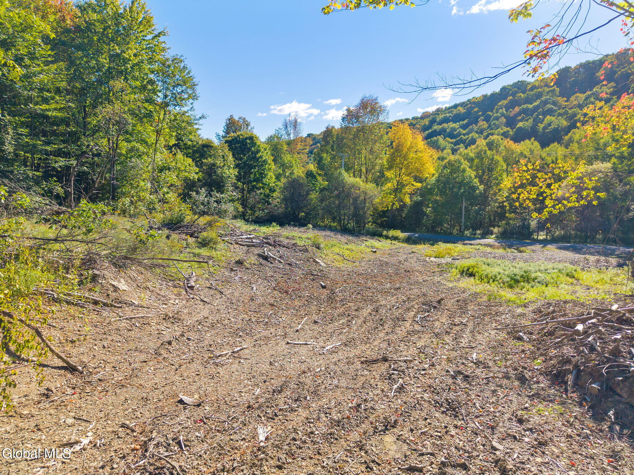 708 Smokey Avenue Schenevus NY 12155