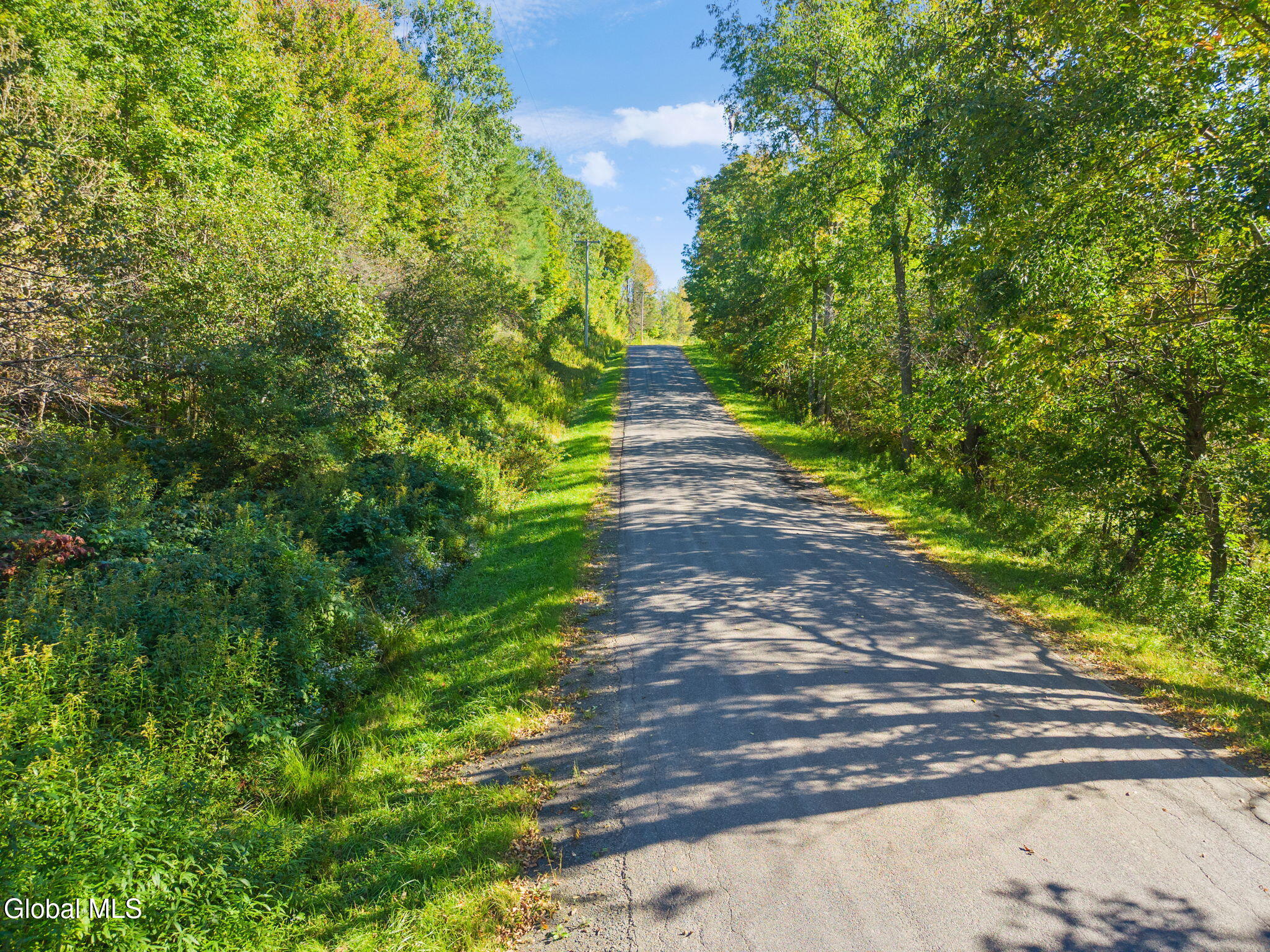 708 Smokey Avenue Schenevus NY 12155