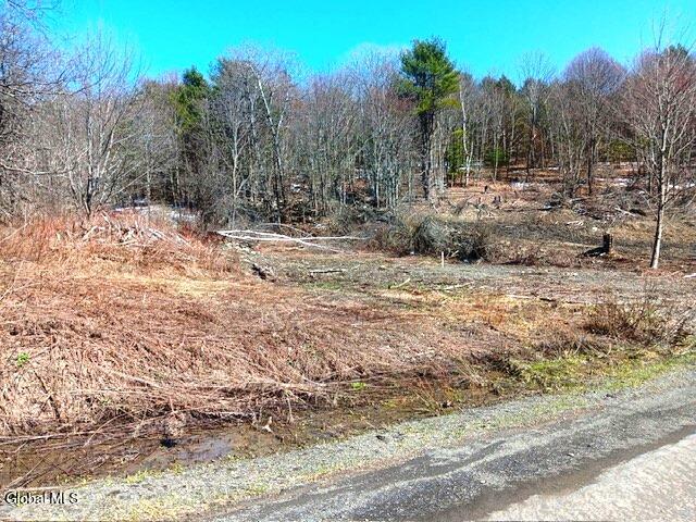 708 Smokey Avenue Schenevus NY 12155