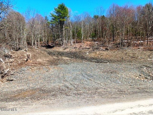 708 Smokey Avenue Schenevus NY 12155