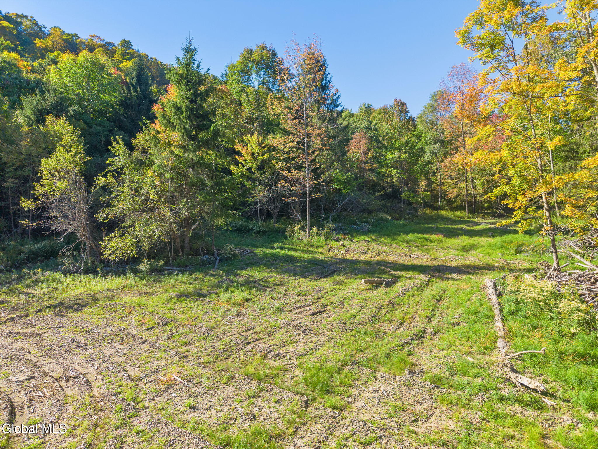 708 Smokey Avenue Schenevus NY 12155