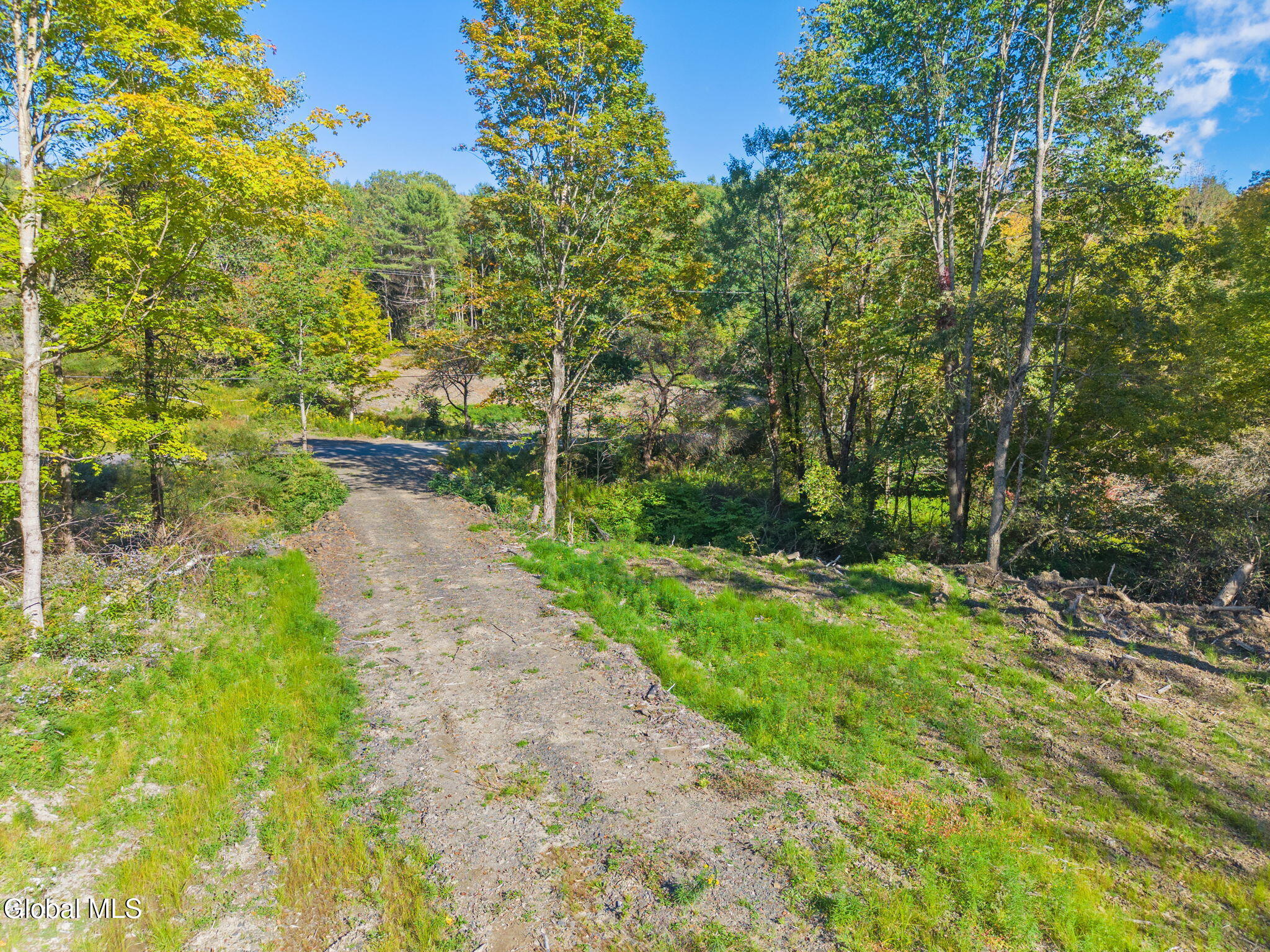 708 Smokey Avenue Schenevus NY 12155