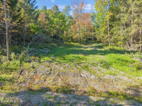 708 Smokey Avenue Schenevus NY 12155