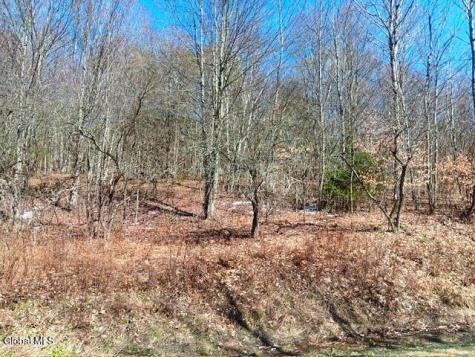 708 Smokey Avenue Schenevus NY 12155