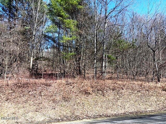 708 Smokey Avenue Schenevus NY 12155