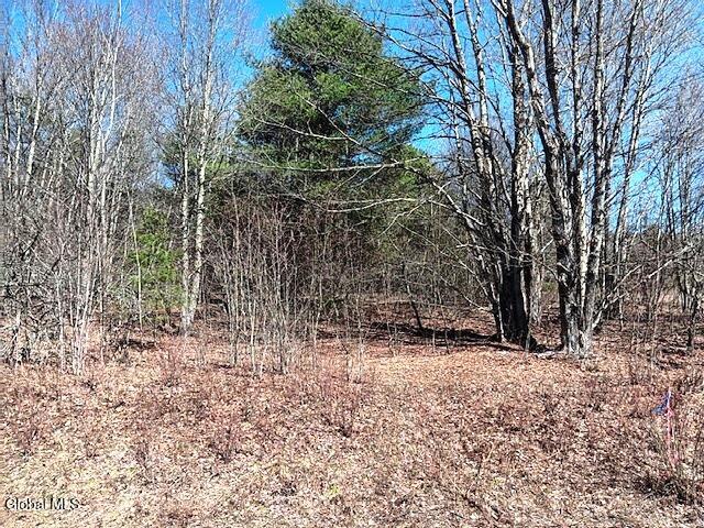 708 Smokey Avenue Schenevus NY 12155