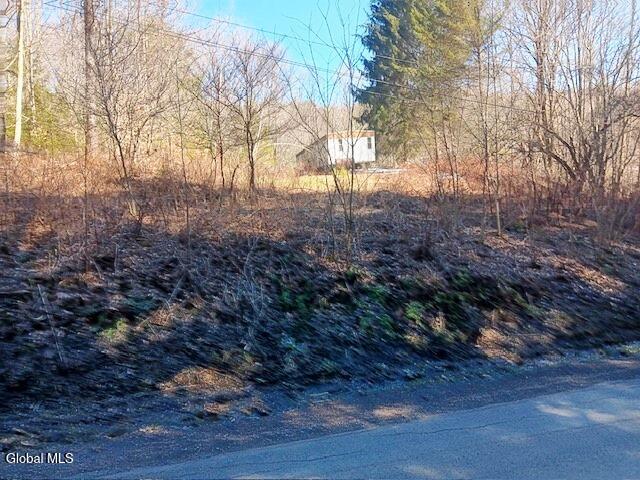 708 Smokey Avenue Schenevus NY 12155