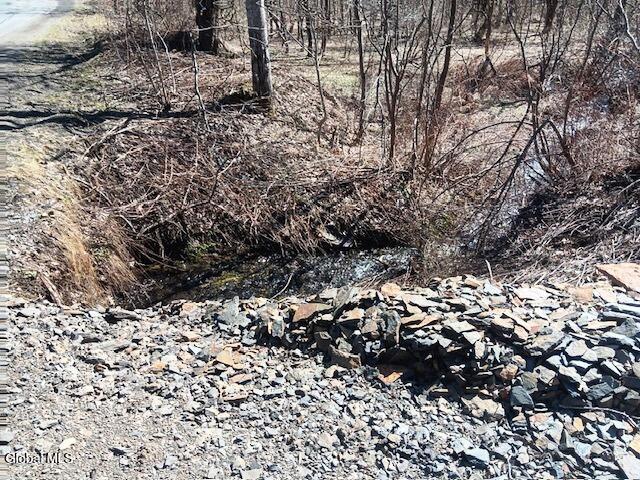 708 Smokey Avenue Schenevus NY 12155