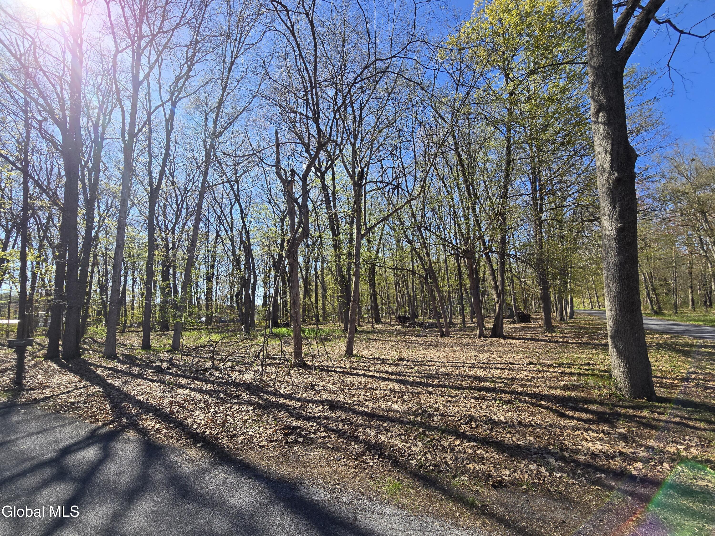 5 Sunset Street Rexford NY 12148