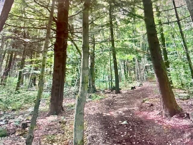 196 Pond View Road Pittstown NY 12138