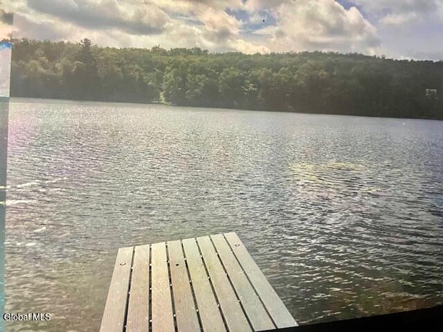 196 Pond View Road Pittstown NY 12138