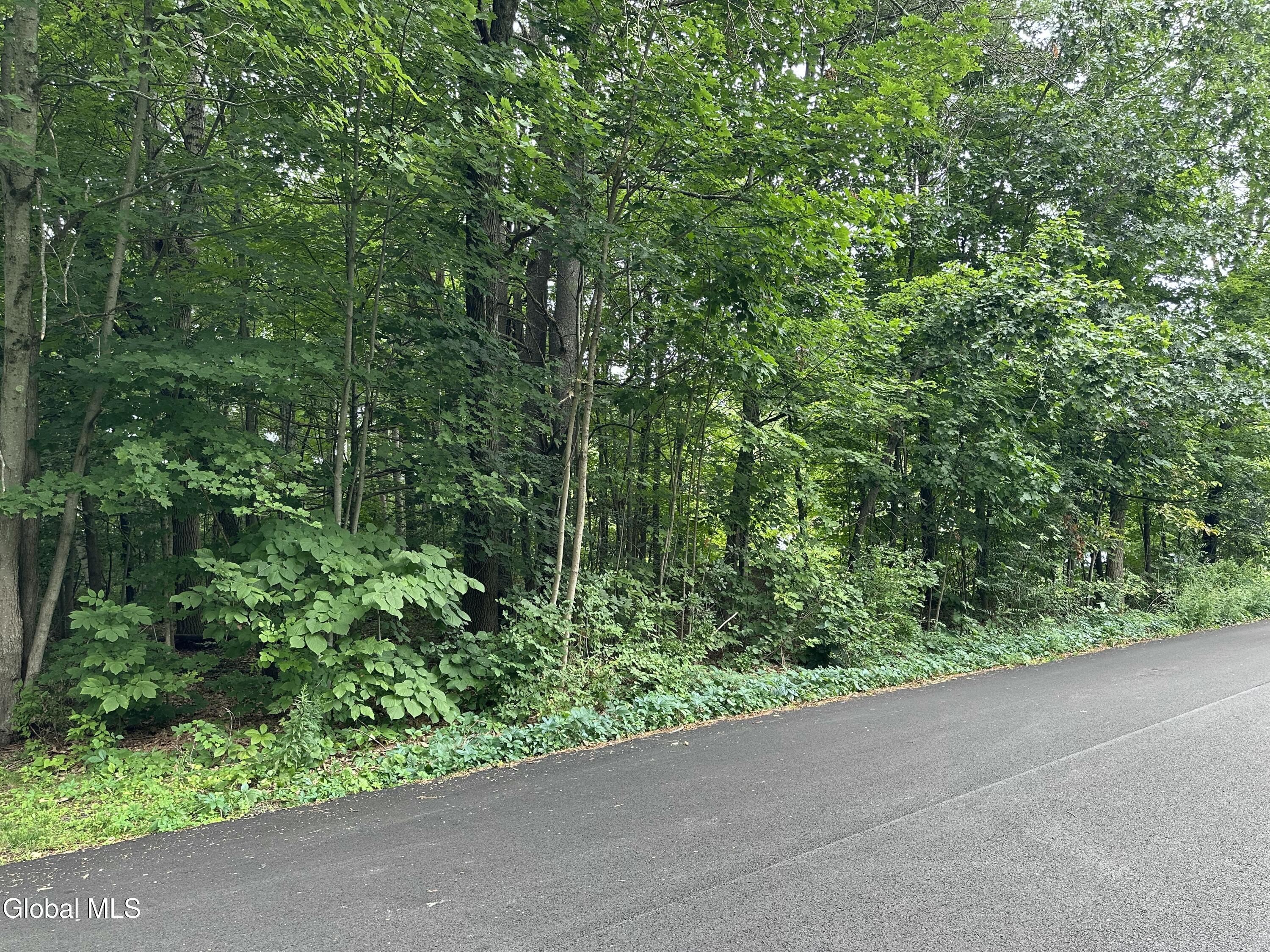 L28 Carl Avenue Greenwich NY 12834