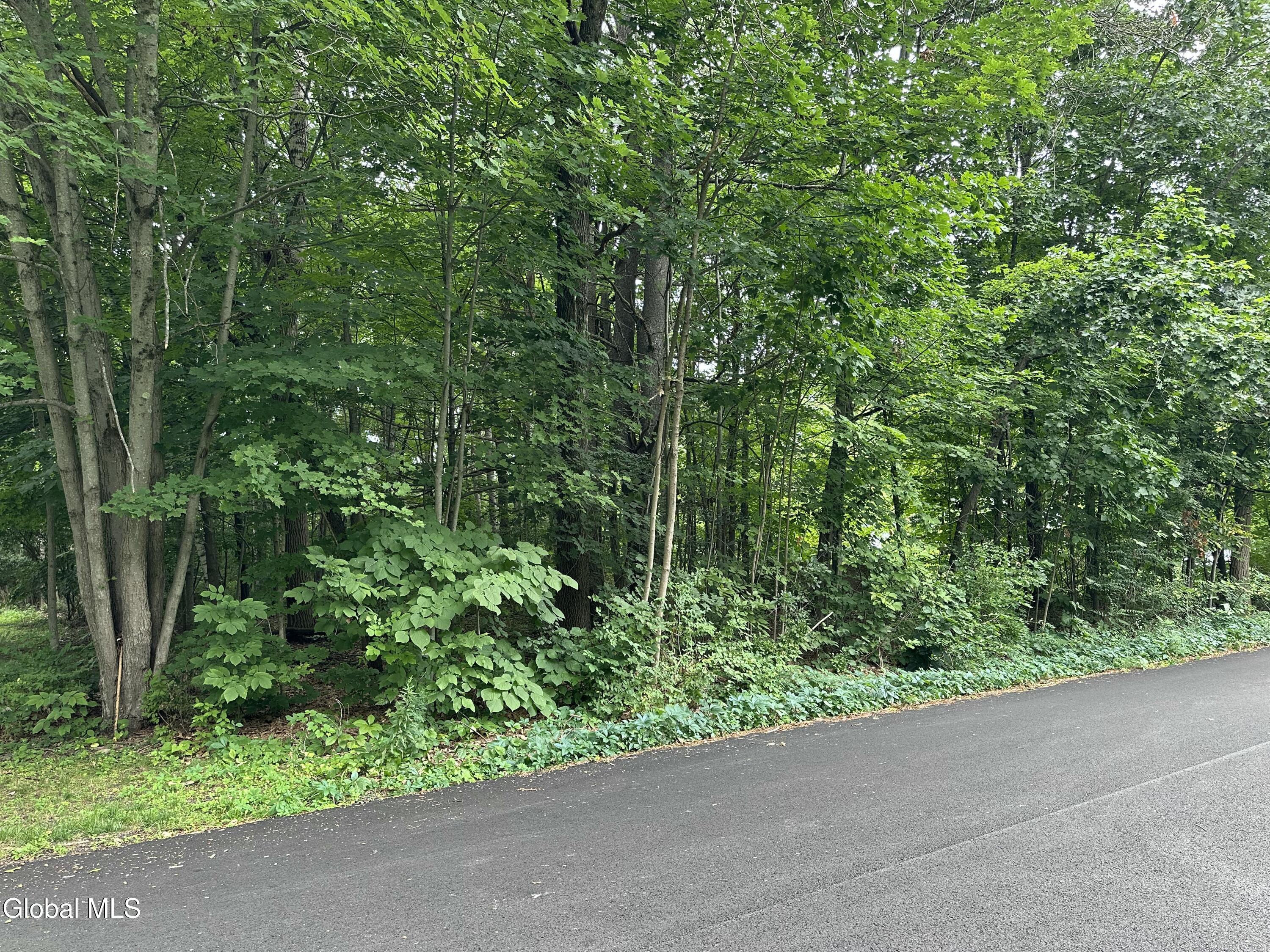 L28 Carl Avenue Greenwich NY 12834