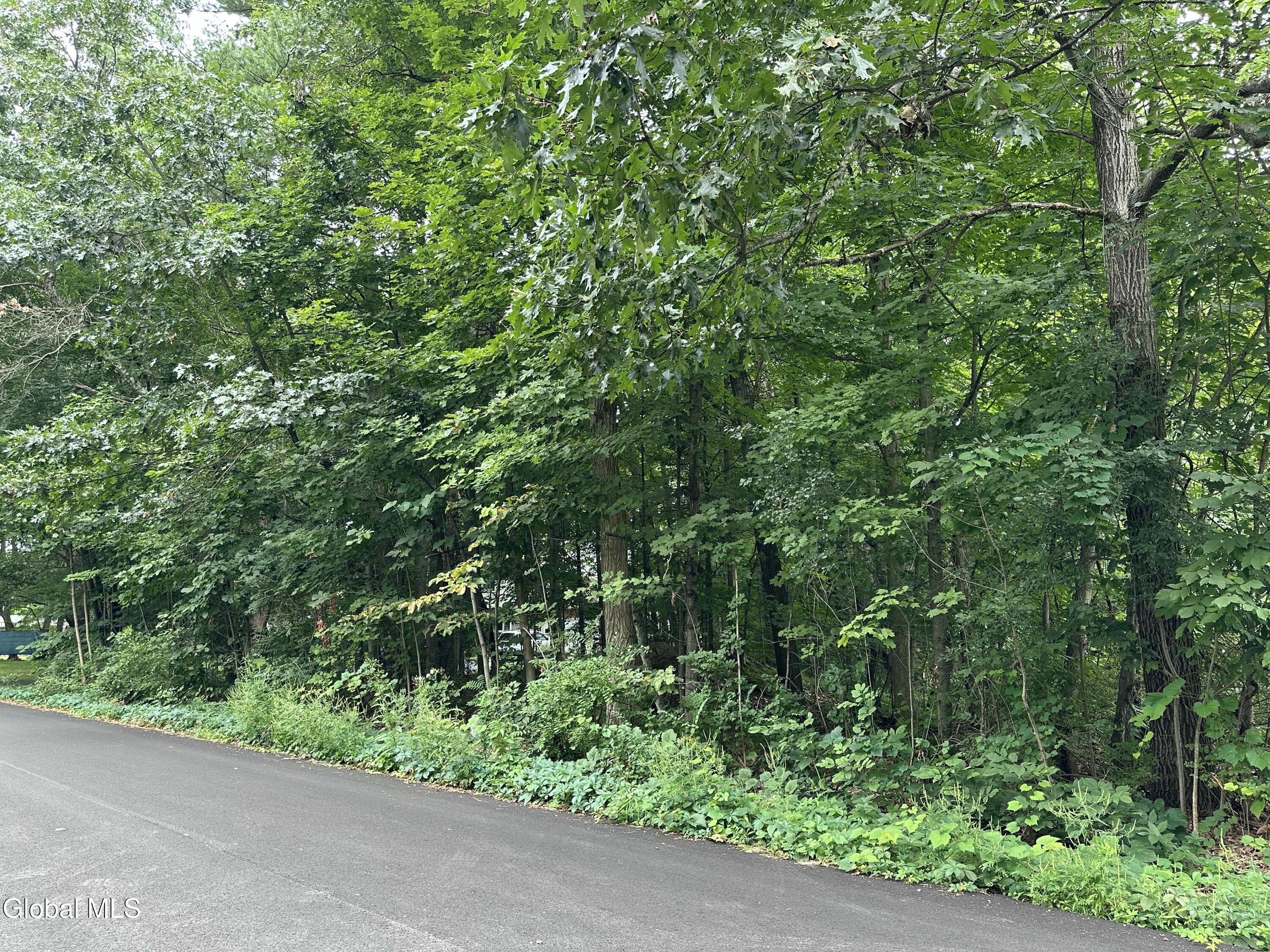 L28 Carl Avenue Greenwich NY 12834