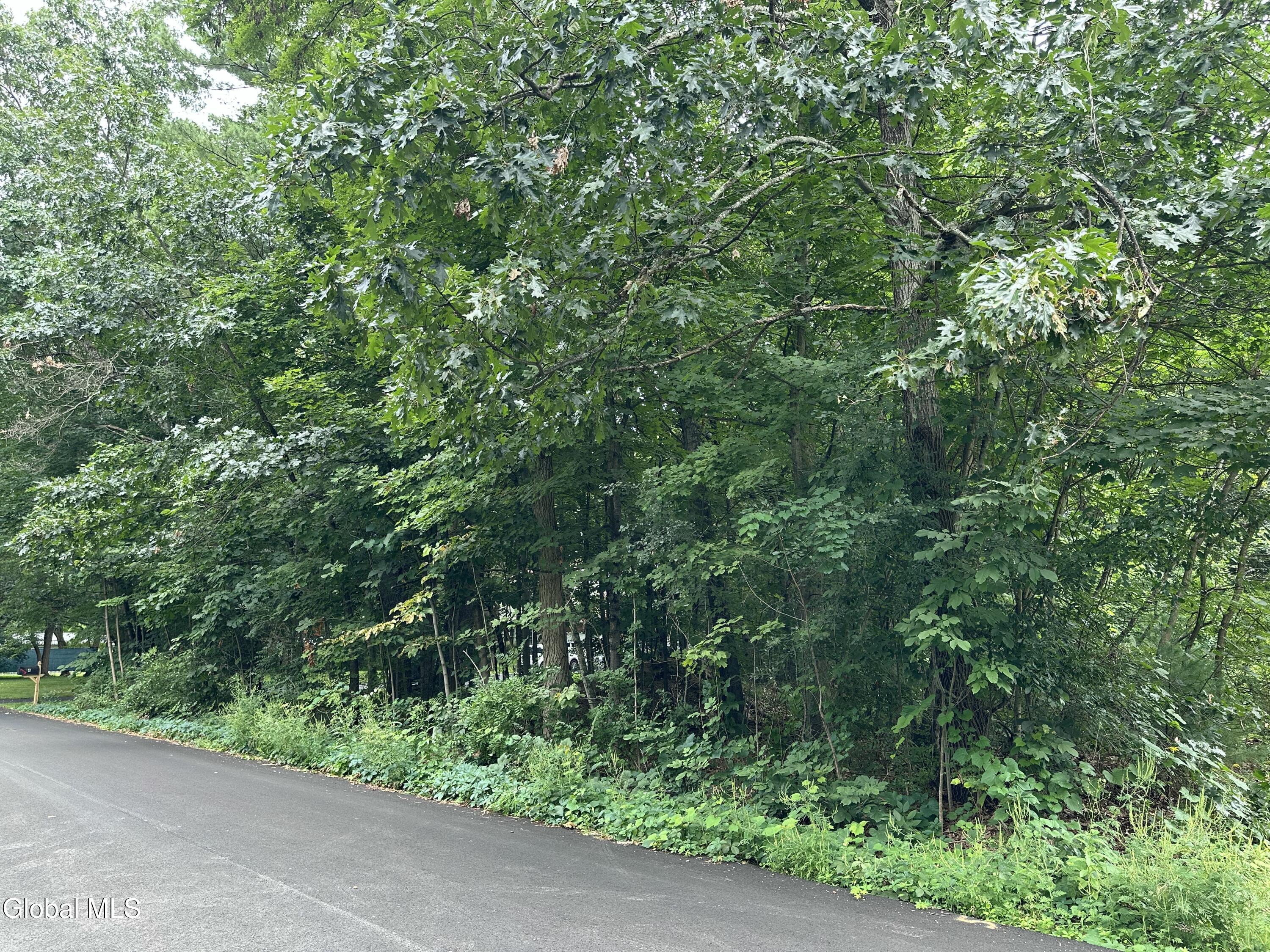 L28 Carl Avenue Greenwich NY 12834