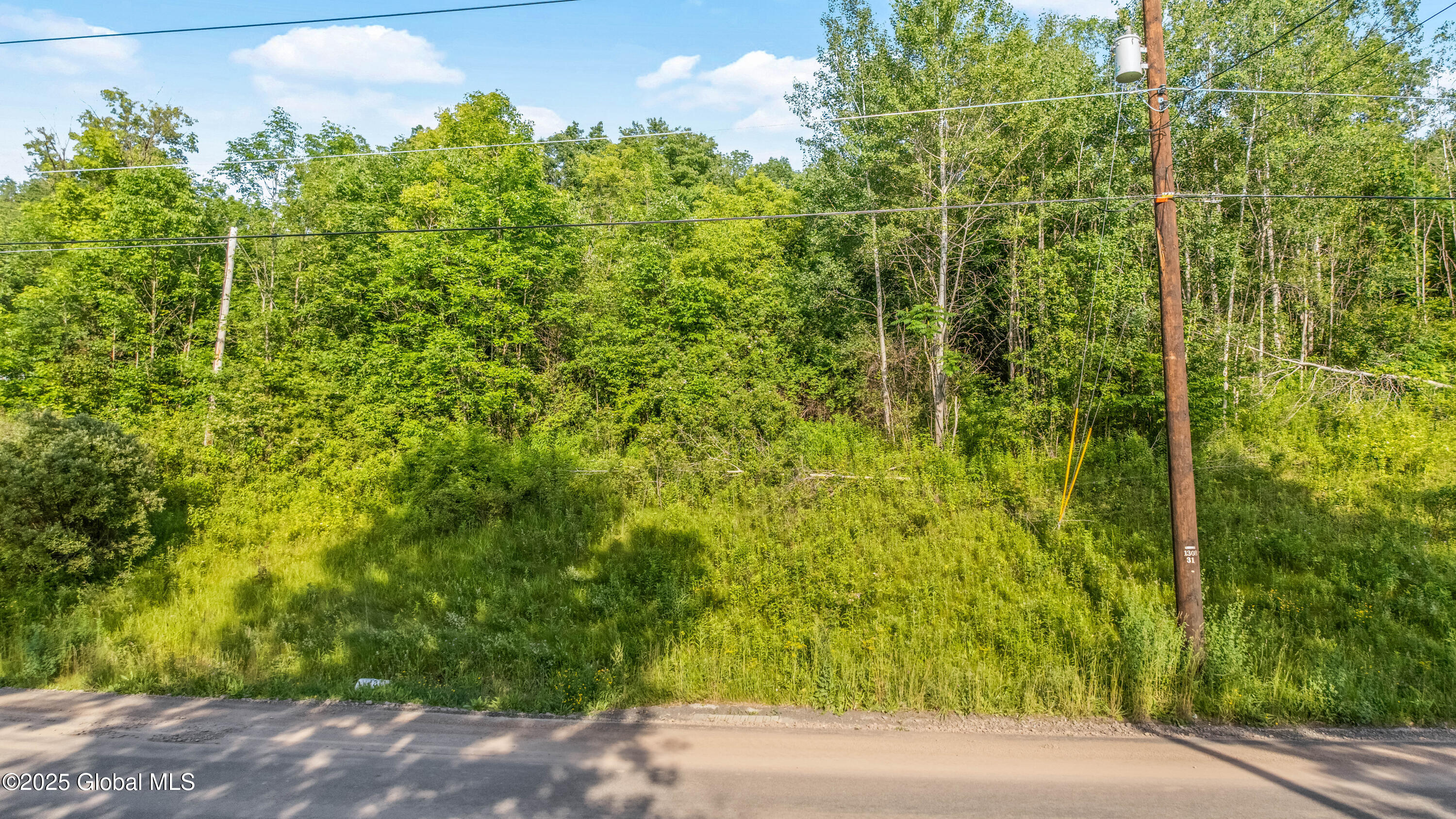 L31.1 County Road 32 Norwich NY 13815