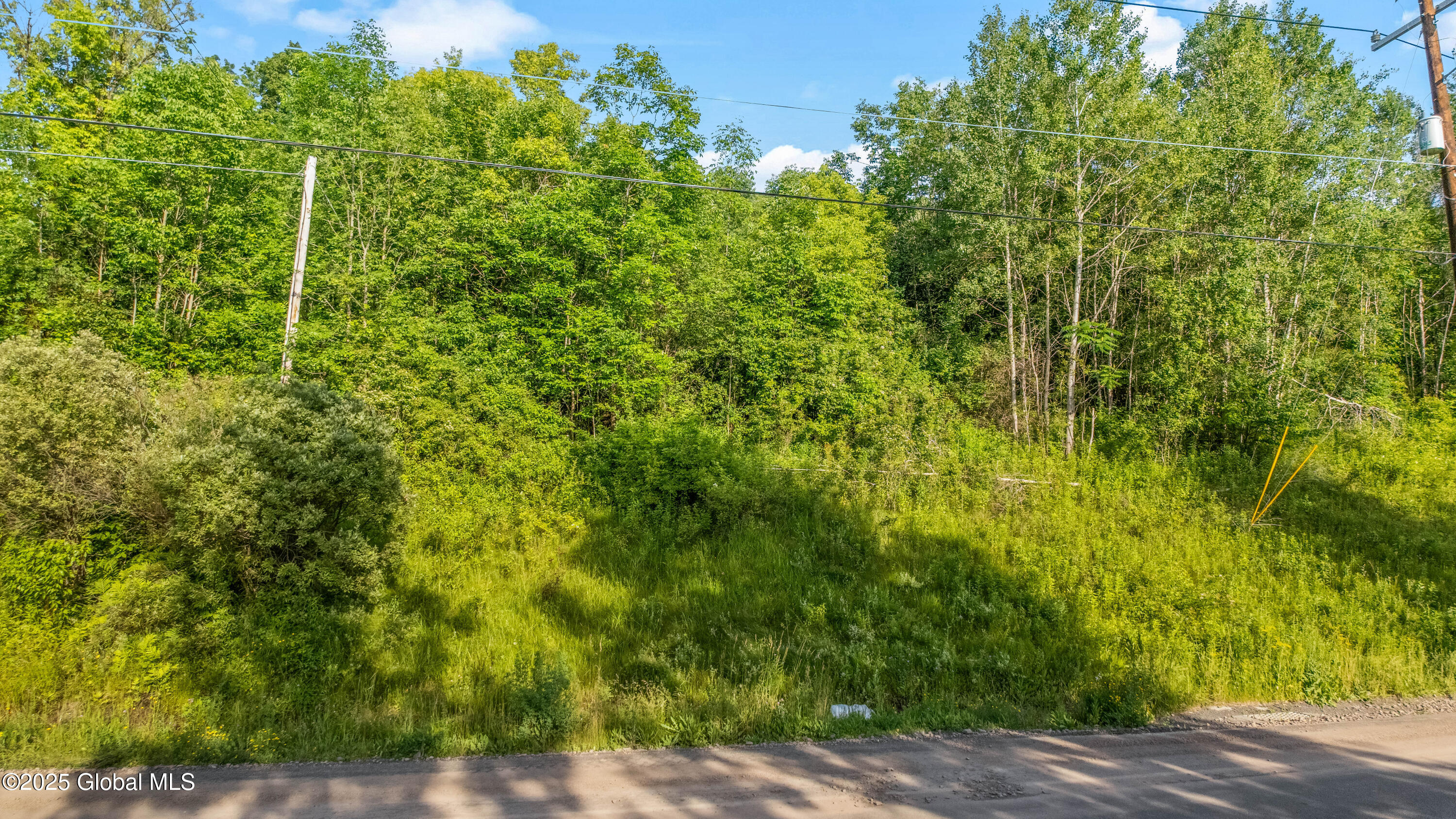 L31.1 County Road 32 Norwich NY 13815