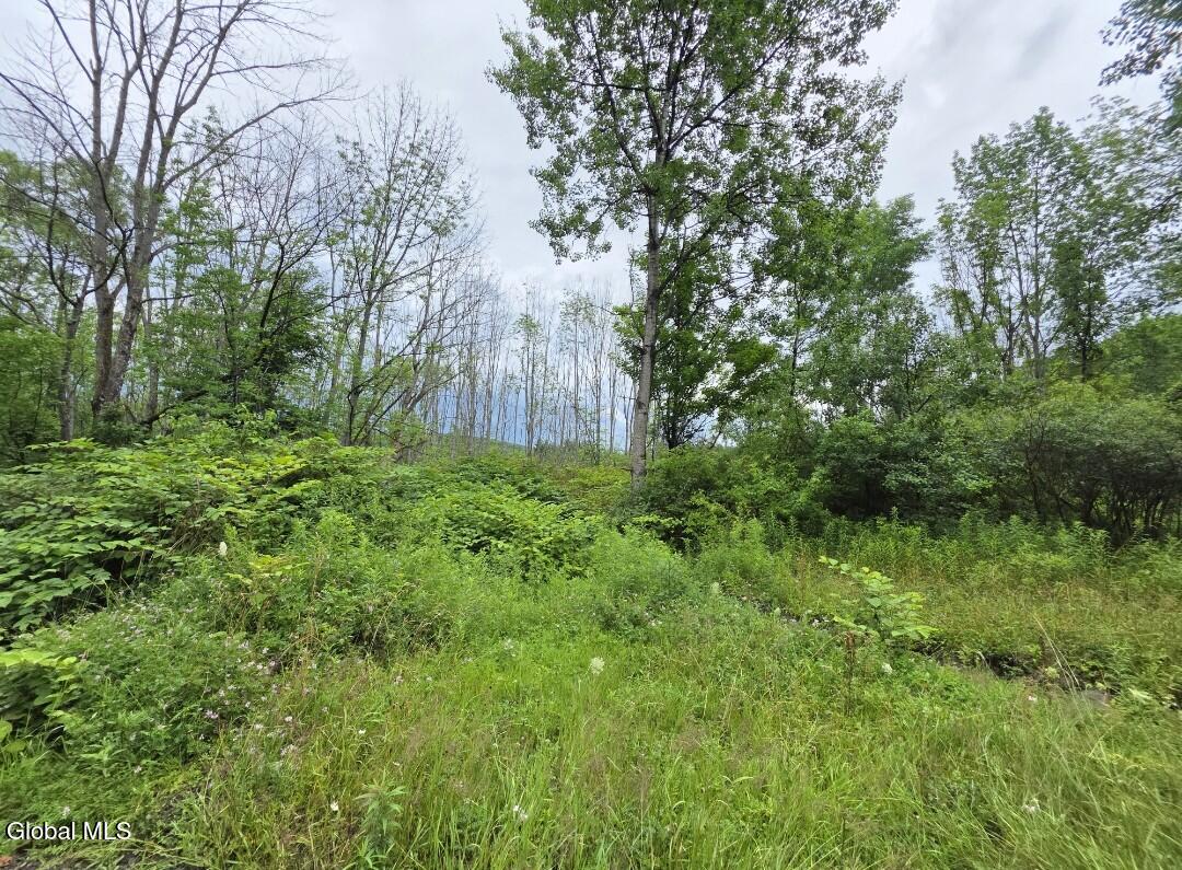 L-28.03 Halbert Hill Road South New Berlin NY 13843