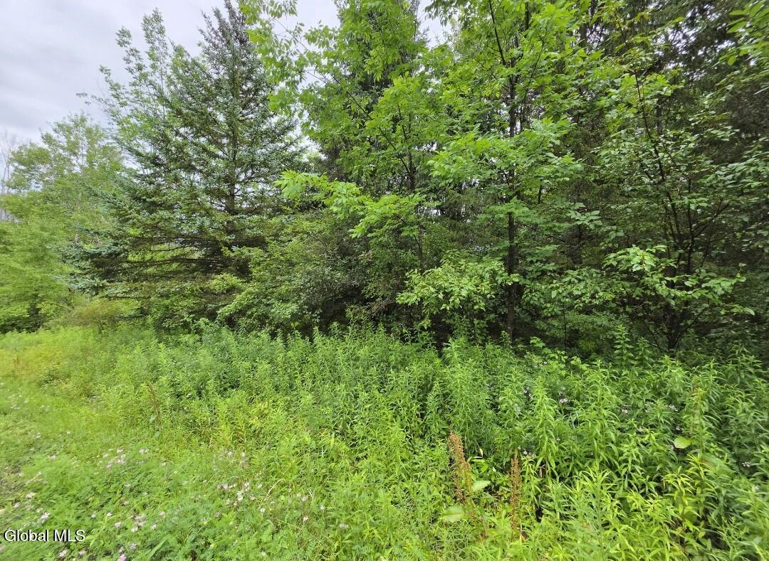 L-28.03 Halbert Hill Road South New Berlin NY 13843