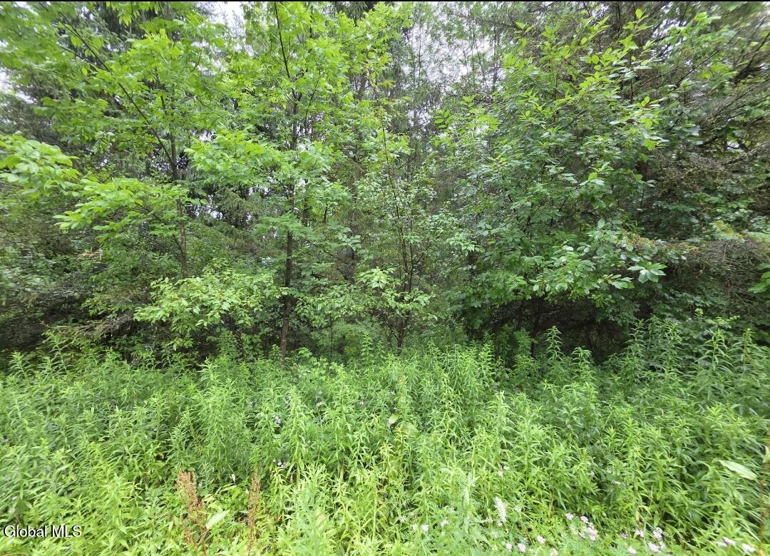 L-28.03 Halbert Hill Road South New Berlin NY 13843