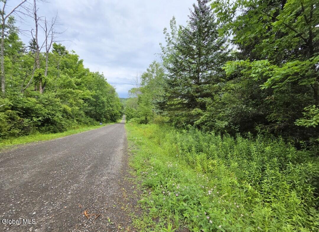 L-28.03 Halbert Hill Road South New Berlin NY 13843