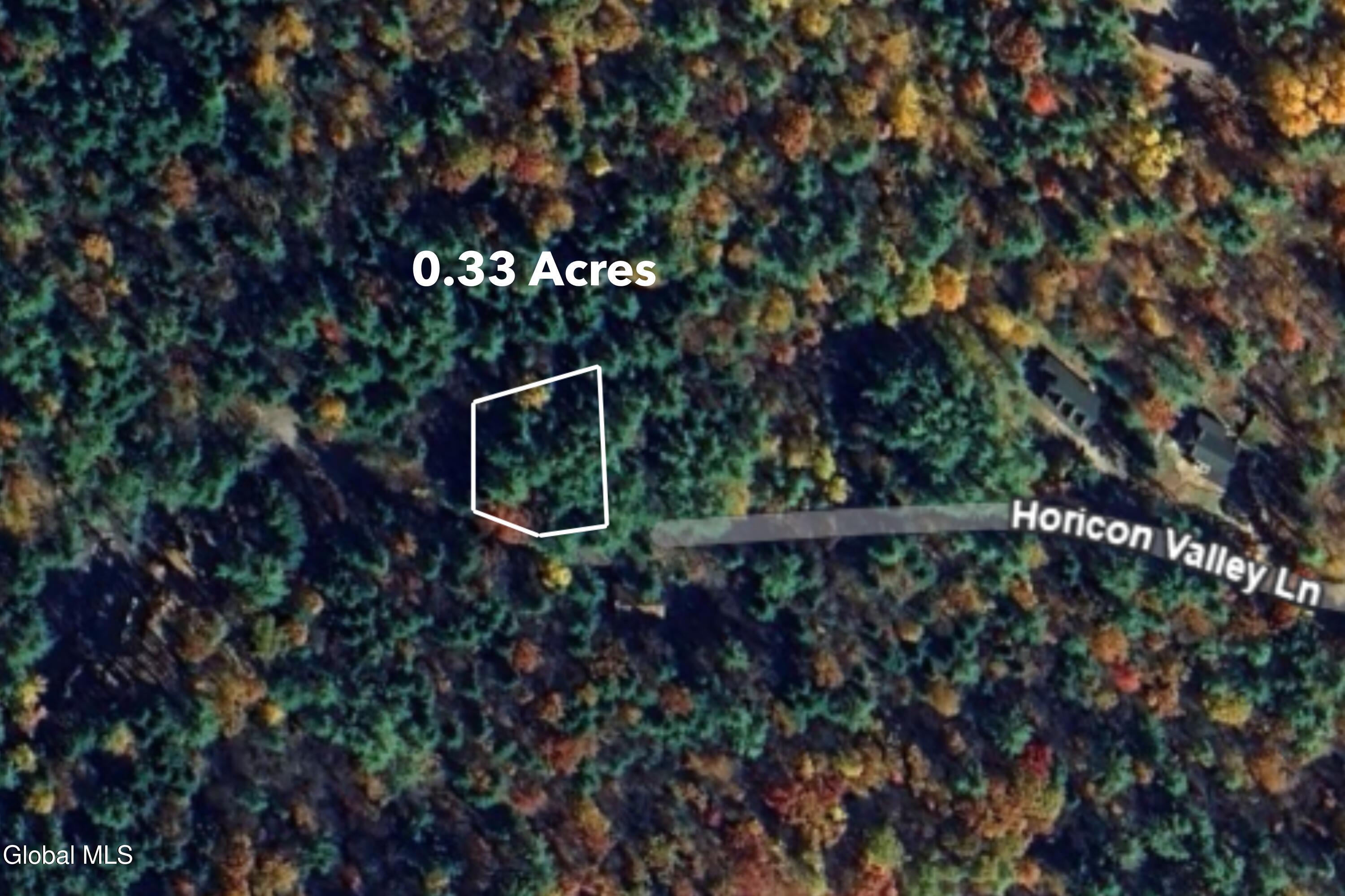 27 Horicon Valley Lane Bolton Landing NY 12814