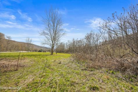 L9.111 Lutheranville Road East Worcester NY 12175