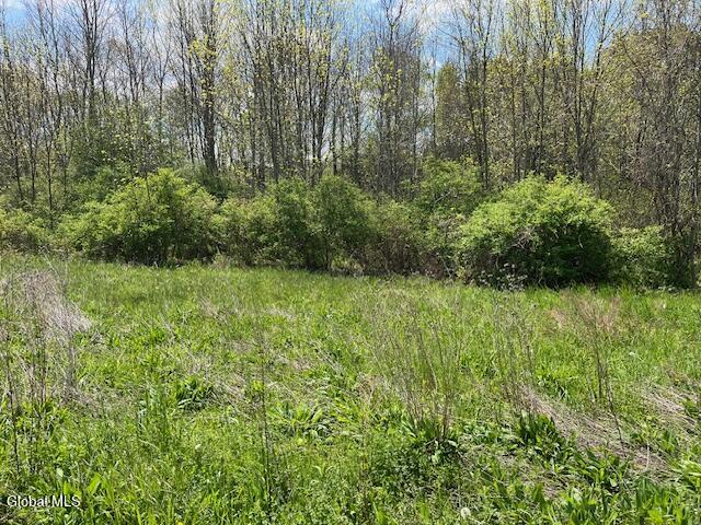 296 Evergreen Road Cobleskill NY 12043