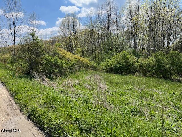 296 Evergreen Road Cobleskill NY 12043