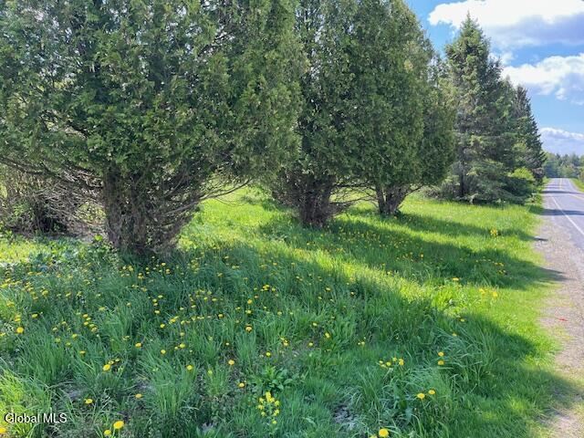 296 Evergreen Road Cobleskill NY 12043