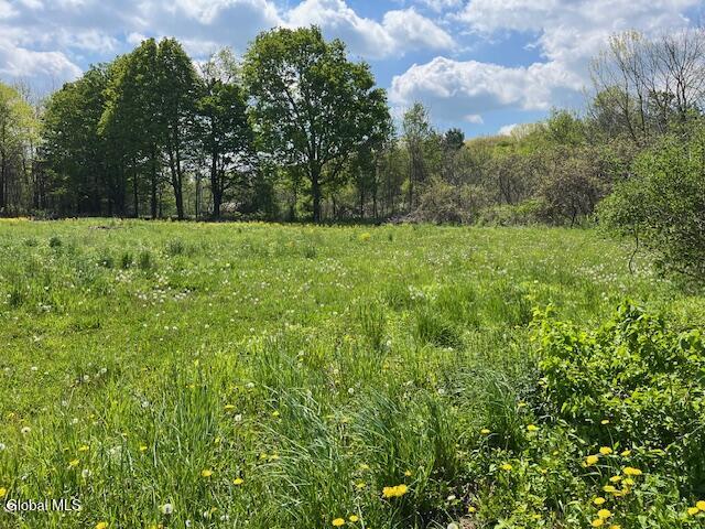 296 Evergreen Road Cobleskill NY 12043