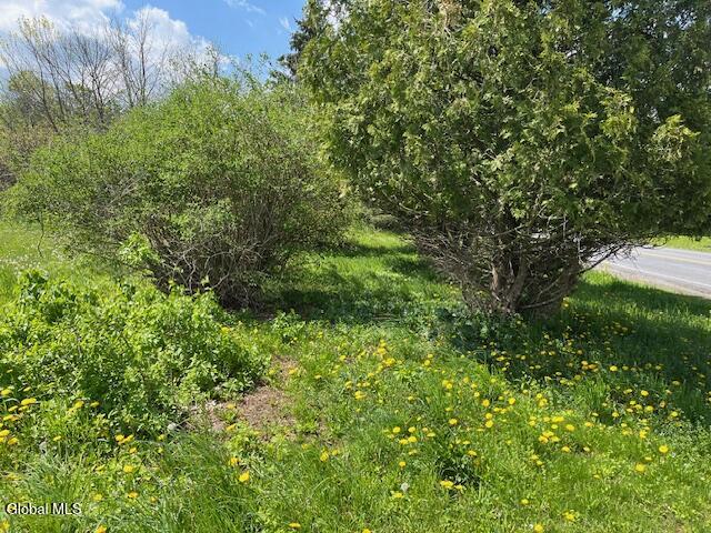 296 Evergreen Road Cobleskill NY 12043
