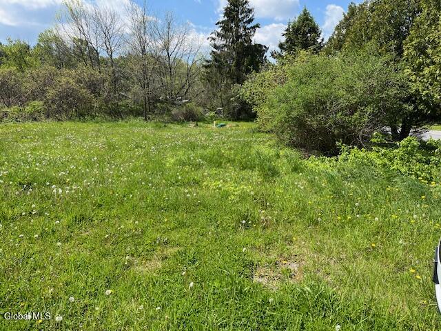 296 Evergreen Road Cobleskill NY 12043