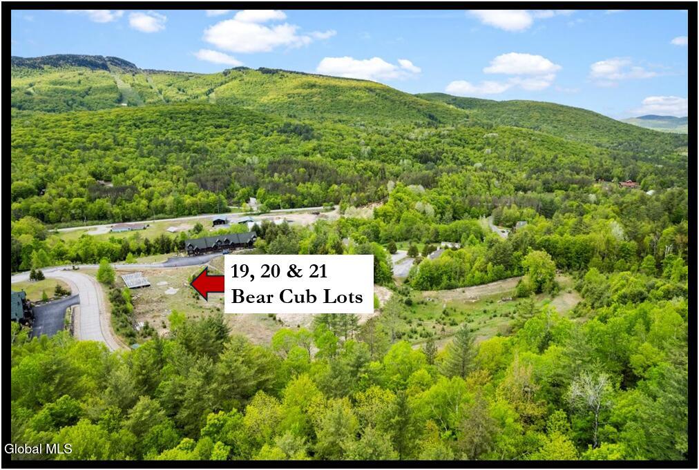 19, 20, 21 Bear Cub Drive North Creek NY 12853