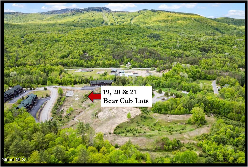 19, 20, 21 Bear Cub Drive North Creek NY 12853