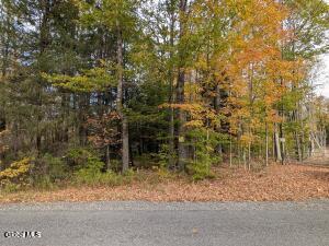 118 Potter Hollow Road Providence NY 12074