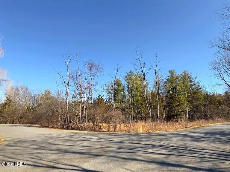 L38 Yost Court Coxsackie NY 12015