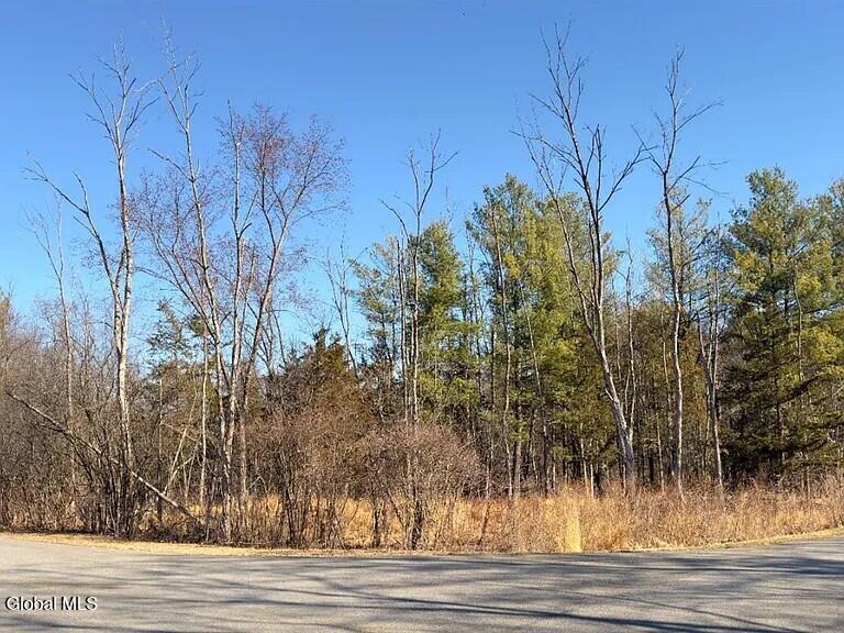 L38 Yost Court Coxsackie NY 12015