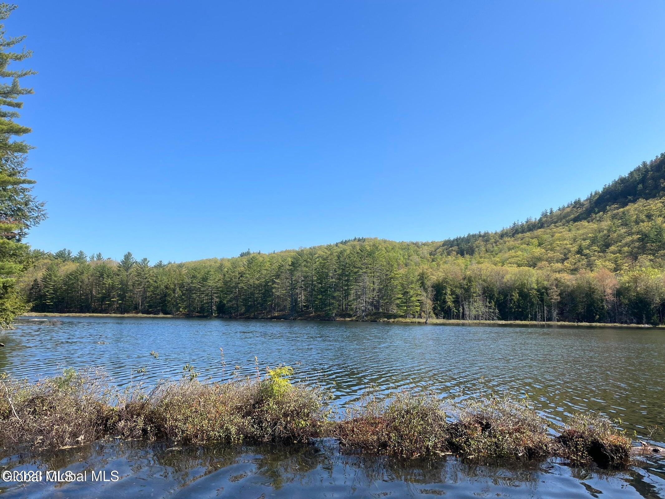 8 Mountain Path North Creek NY 12853