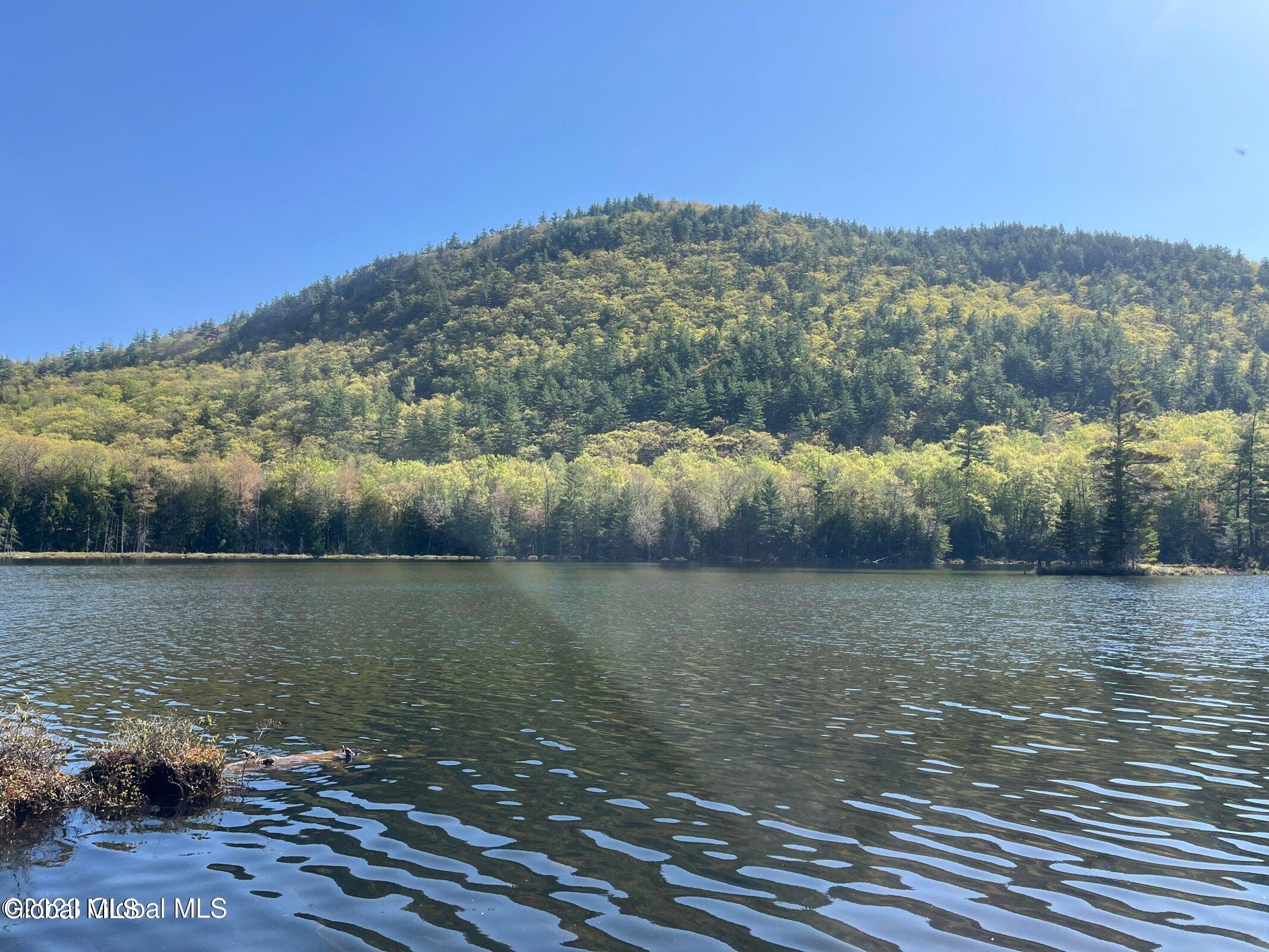 8 Mountain Path North Creek NY 12853