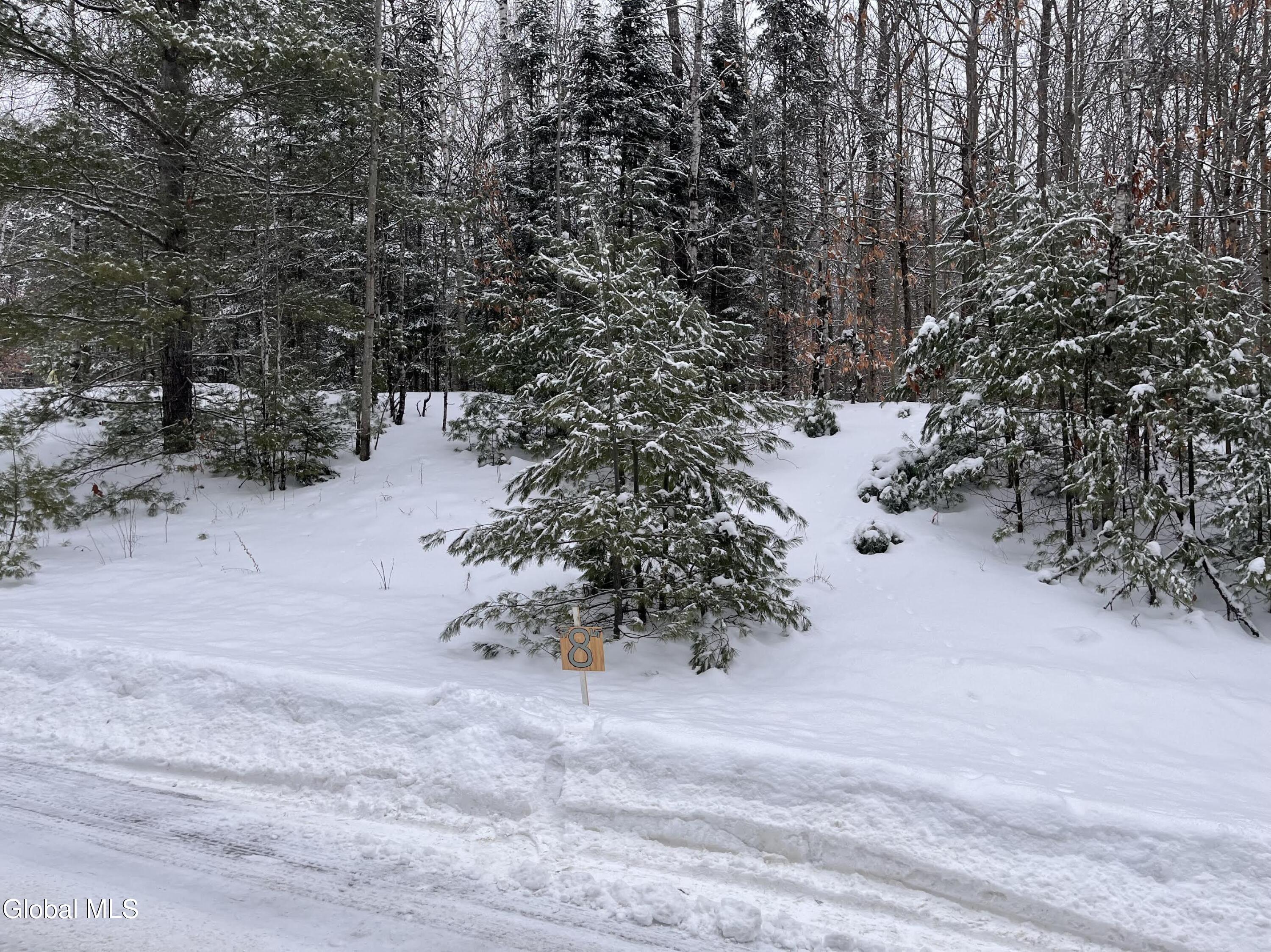 8 Mountain Path North Creek NY 12853