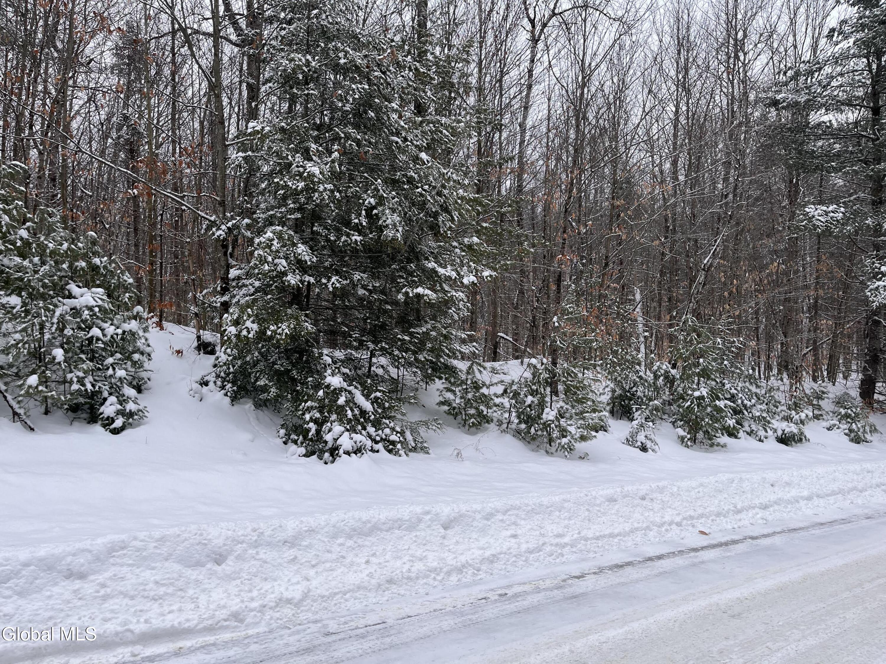 8 Mountain Path North Creek NY 12853