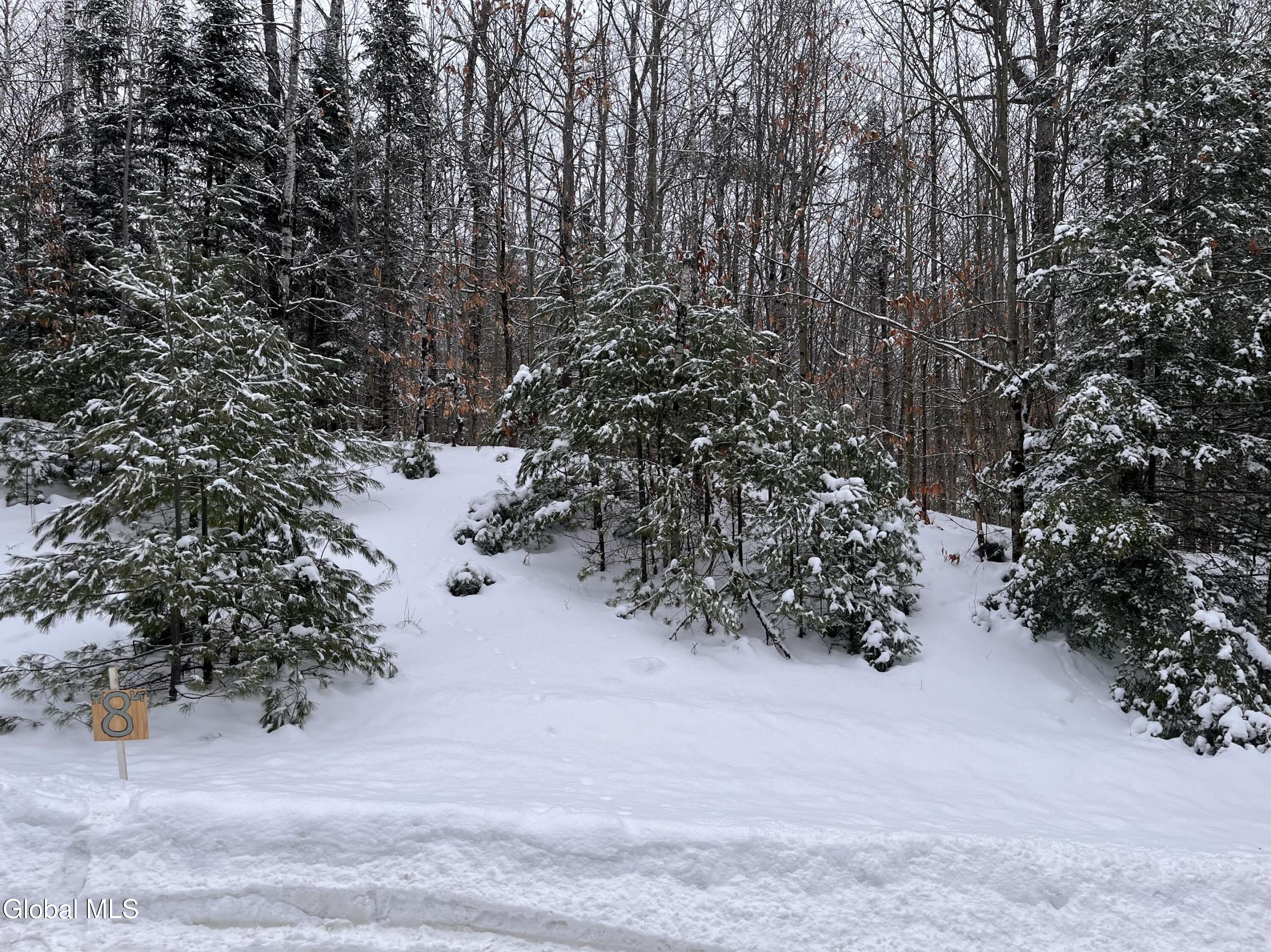 8 Mountain Path North Creek NY 12853