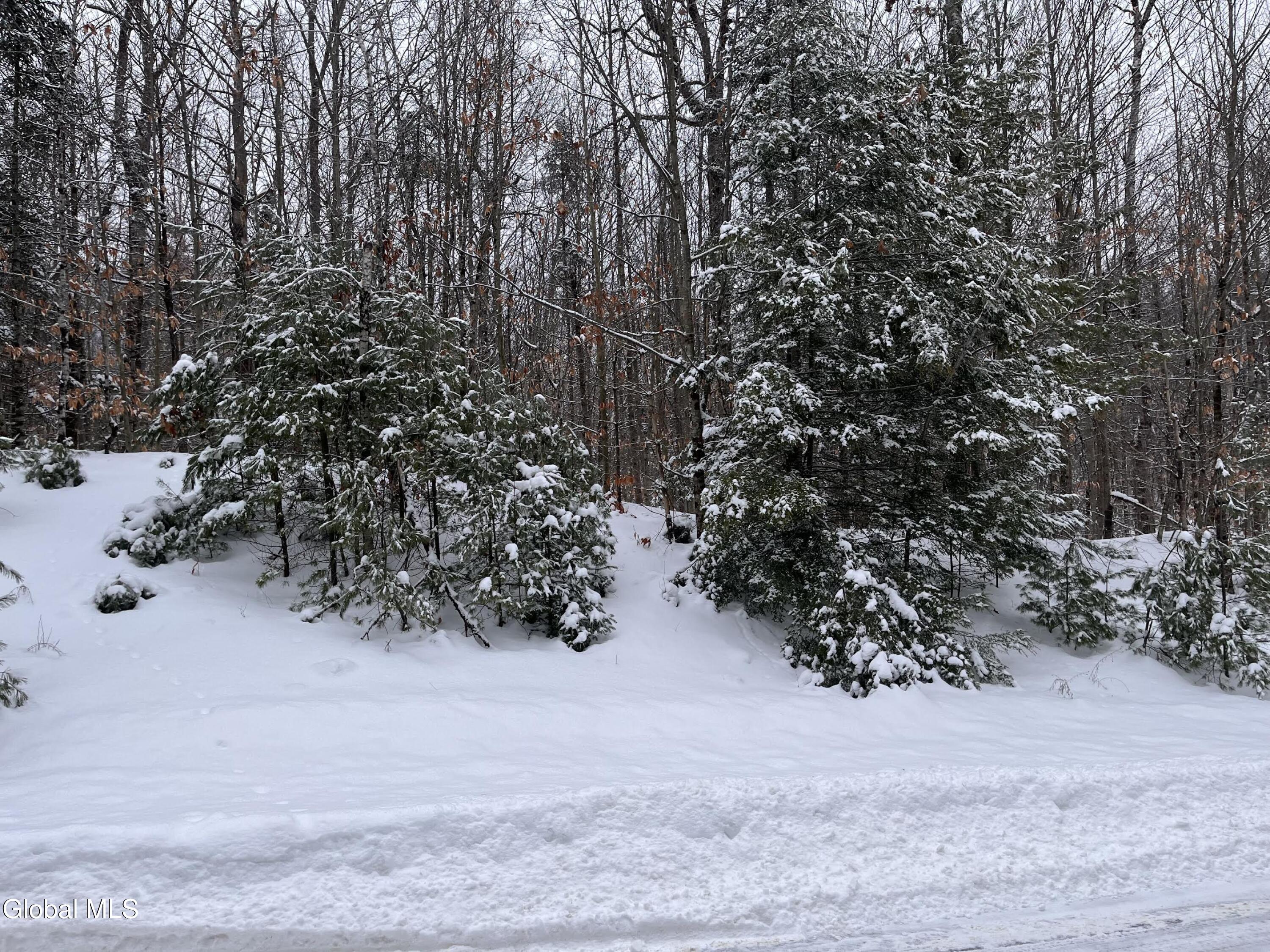 8 Mountain Path North Creek NY 12853