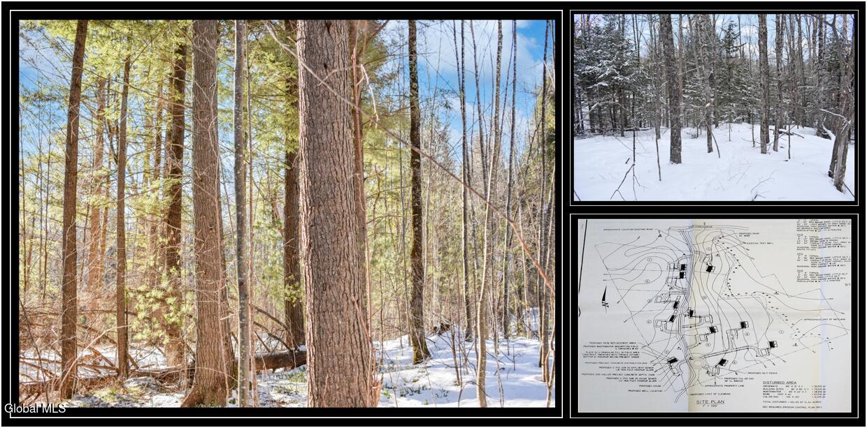 62 Carriage Knolls Road Chestertown NY 12817
