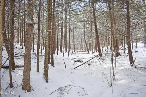 62 Carriage Knolls Road Chestertown NY 12817