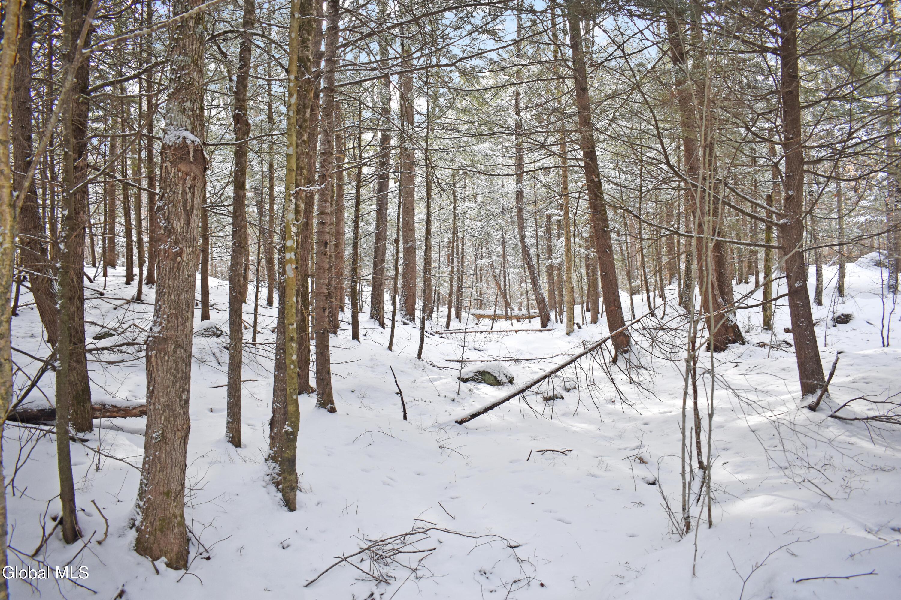 62 Carriage Knolls Road Chestertown NY 12817