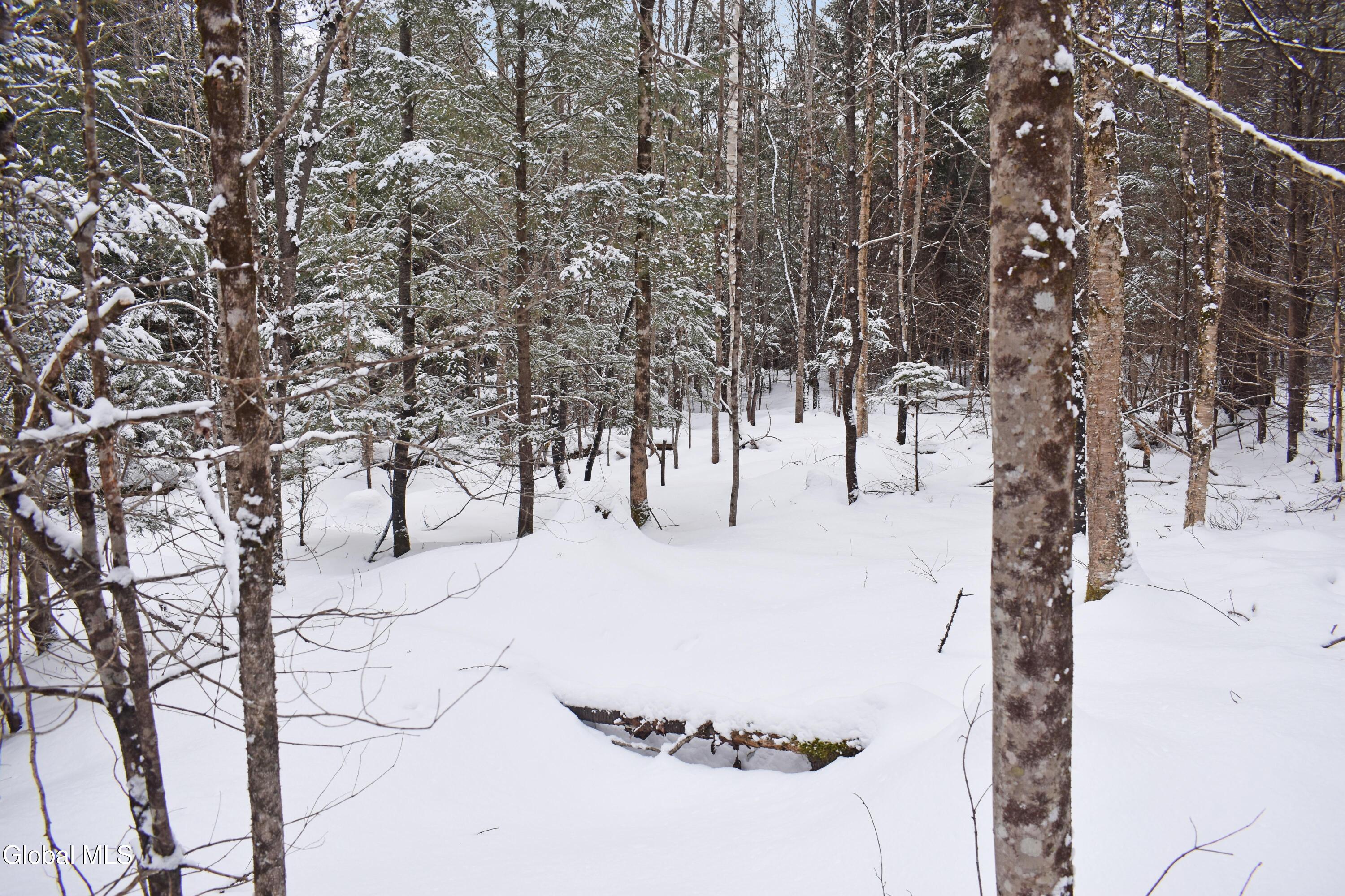 62 Carriage Knolls Road Chestertown NY 12817